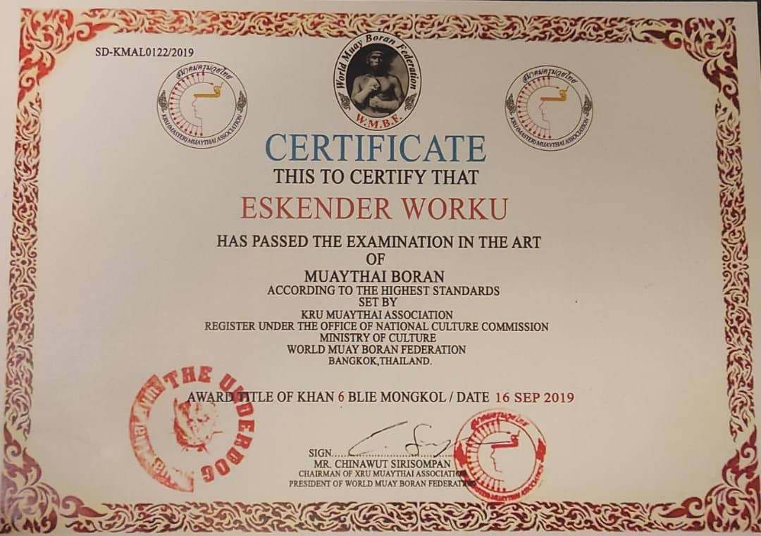Certificate 7